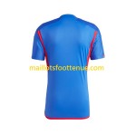 Maillot/Tenue Olympique Lyonnais Exterieur 2023/2024